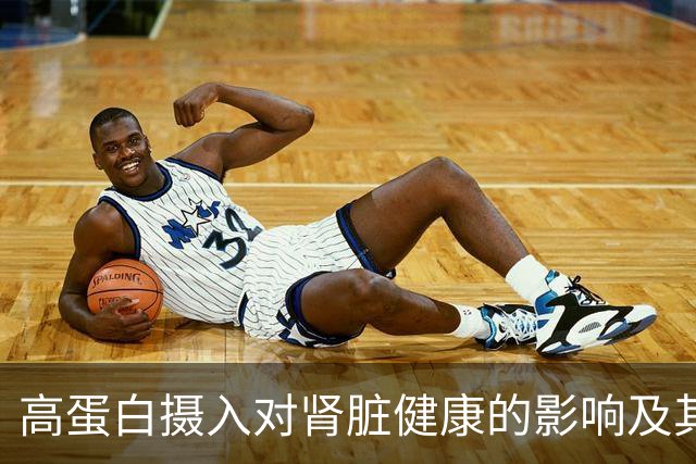 高蛋白摄入对肾脏健康的影响及其应对措施